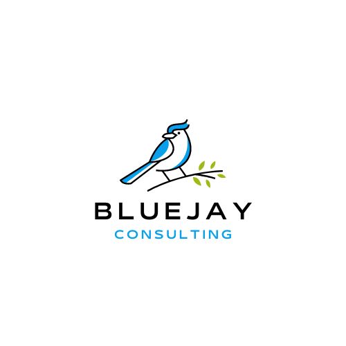 www.bluejayconsultingllc.com
 Logo